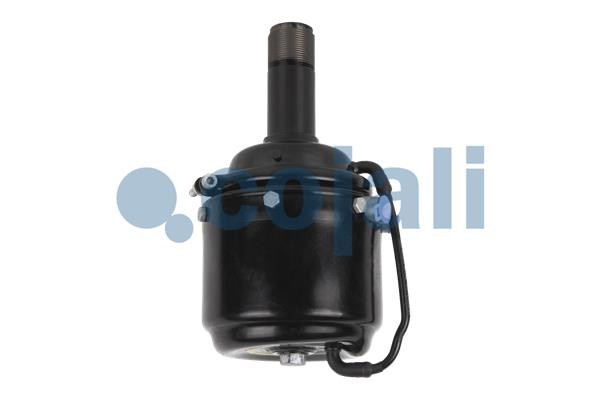 Cojali Veeraccumulator remcilinder 2251305