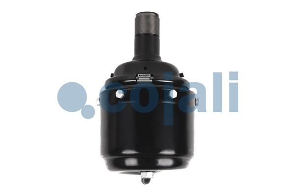 Cojali Veeraccumulator remcilinder 2251306