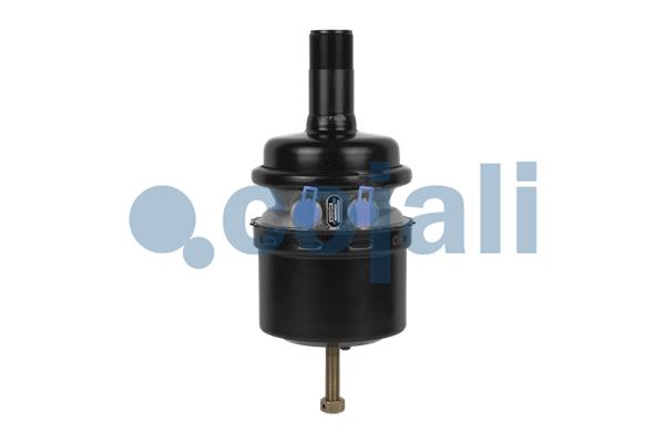 Cojali Veeraccumulator remcilinder 2251312