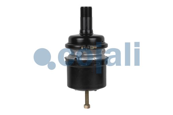 Cojali Veeraccumulator remcilinder 2251312