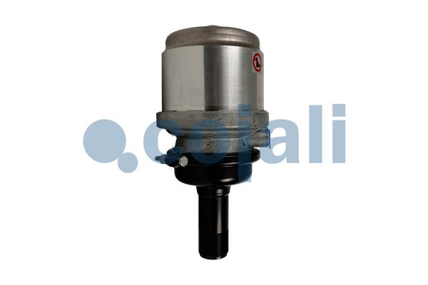 Cojali Veeraccumulator remcilinder 2251313