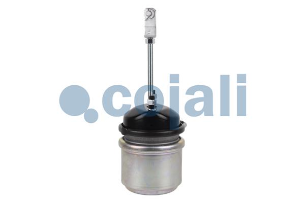 Cojali Veeraccumulator remcilinder 2251403