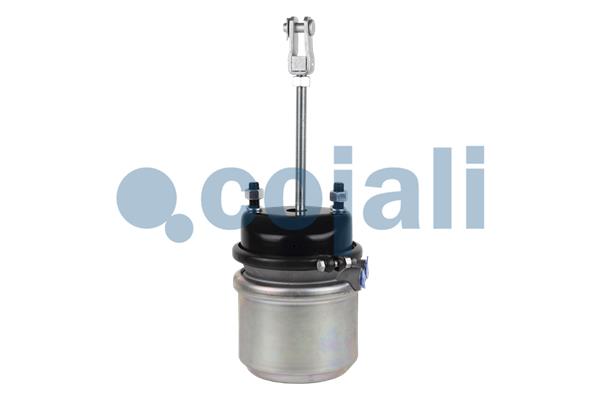 Cojali Veeraccumulator remcilinder 2251403