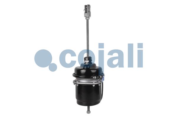 Cojali Veeraccumulator remcilinder 2251413