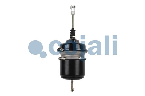 Cojali Veeraccumulator remcilinder 2251414