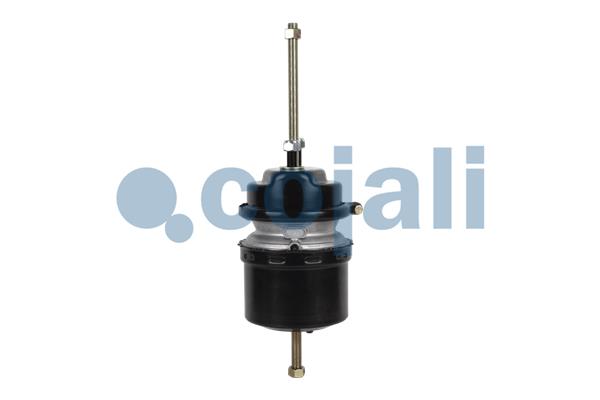 Cojali Veeraccumulator remcilinder 2251417