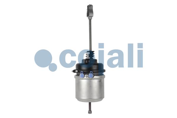 Cojali Veeraccumulator remcilinder 2251420