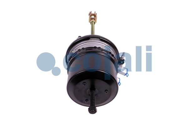 Cojali Veeraccumulator remcilinder 2251432