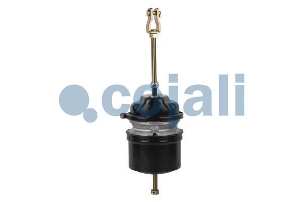 Cojali Veeraccumulator remcilinder 2251502