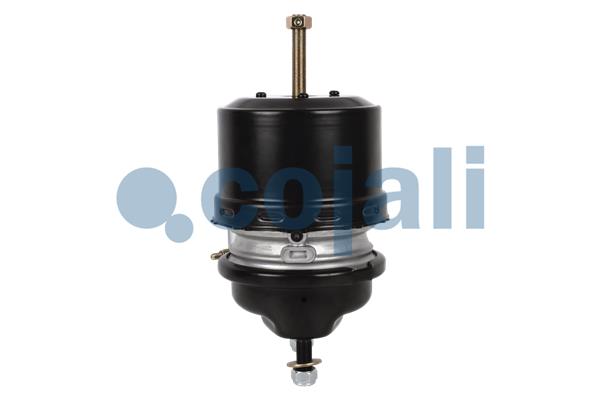 Cojali Veeraccumulator remcilinder 2251510