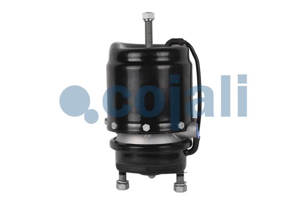 Cojali Veeraccumulator remcilinder 2251517