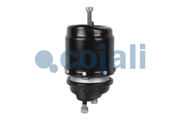 Cojali Veeraccumulator remcilinder 2251517