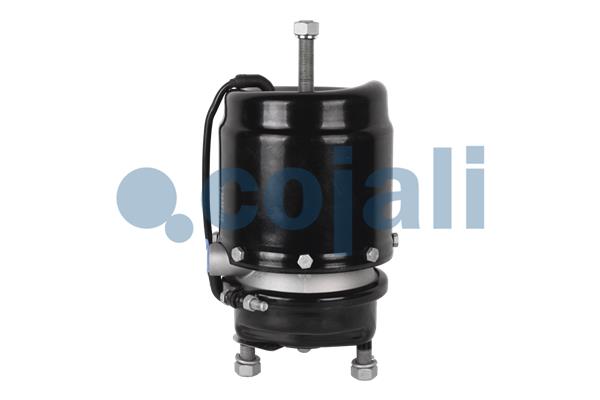 Cojali Veeraccumulator remcilinder 2251517