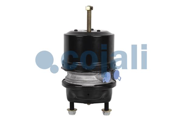 Cojali Veeraccumulator remcilinder 2251520