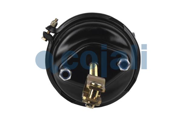 Cojali Veeraccumulator remcilinder 2251526