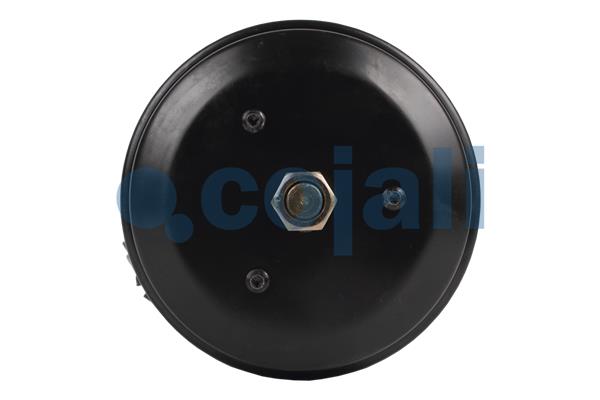 Cojali Veeraccumulator remcilinder 2251527