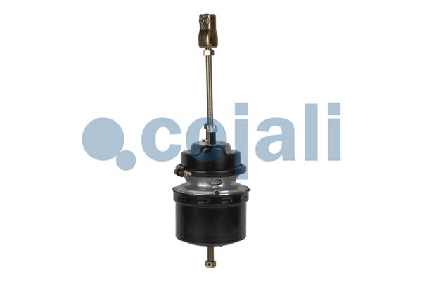 Cojali Veeraccumulator remcilinder 2251528