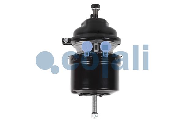 Cojali Veeraccumulator remcilinder 2251532