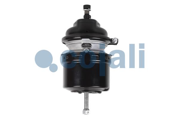Cojali Veeraccumulator remcilinder 2251532