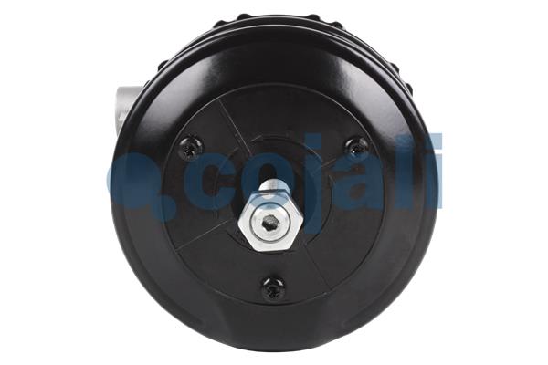 Cojali Veeraccumulator remcilinder 2251532