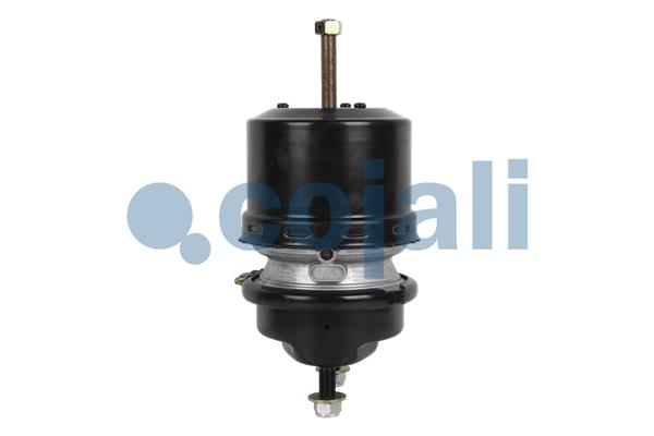 Cojali Veeraccumulator remcilinder 2251534