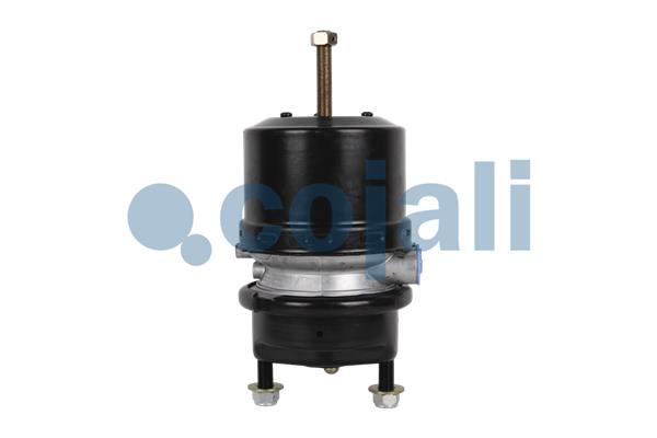 Cojali Veeraccumulator remcilinder 2251534