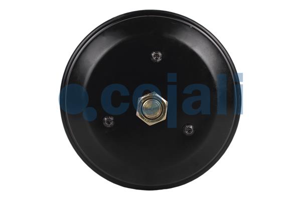 Cojali Veeraccumulator remcilinder 2251536