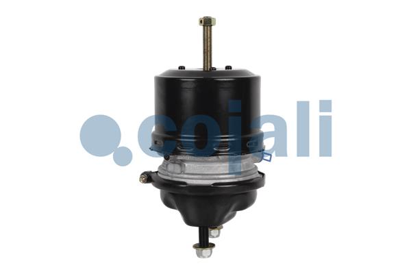 Cojali Veeraccumulator remcilinder 2251538