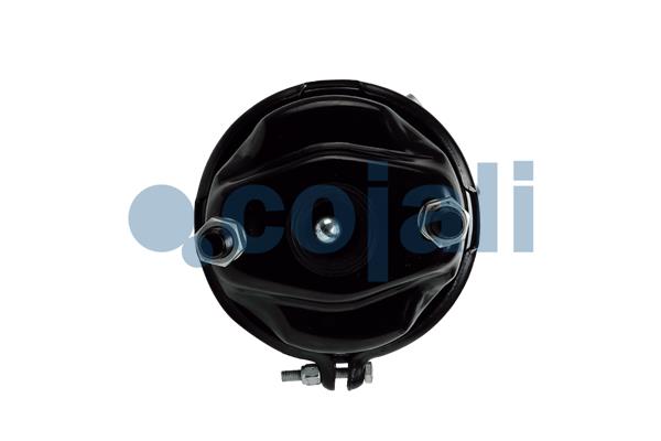 Cojali Veeraccumulator remcilinder 2251542