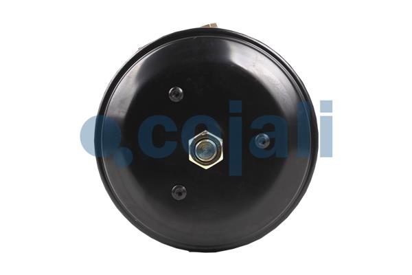 Cojali Veeraccumulator remcilinder 2251550