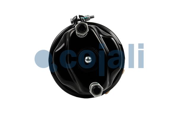 Cojali Veeraccumulator remcilinder 2251557