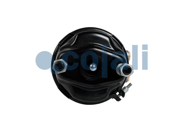 Cojali Veeraccumulator remcilinder 2251558