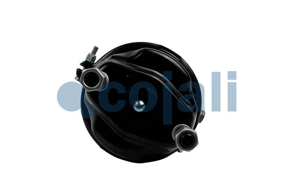 Cojali Veeraccumulator remcilinder 2251562