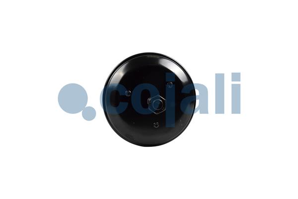 Cojali Veeraccumulator remcilinder 2251564