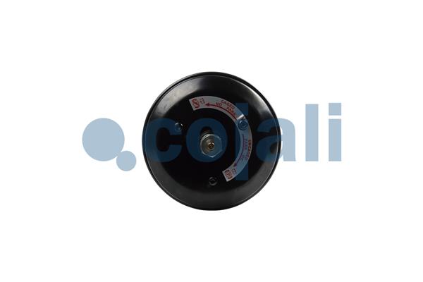 Cojali Veeraccumulator remcilinder 2251565