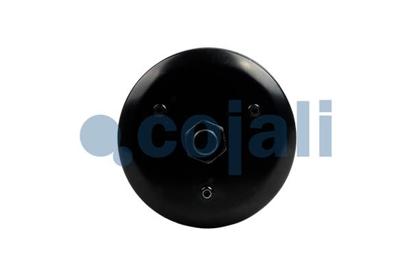 Cojali Veeraccumulator remcilinder 2251568