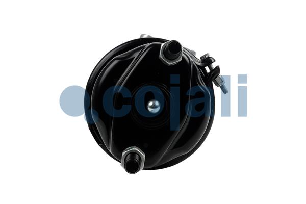 Cojali Veeraccumulator remcilinder 2251568