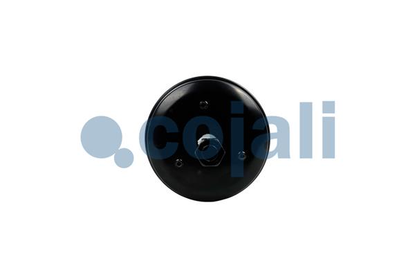 Cojali Veeraccumulator remcilinder 2251569