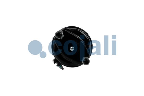 Cojali Veeraccumulator remcilinder 2251569