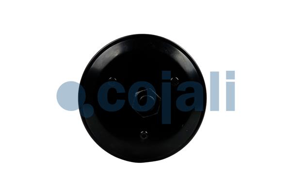 Cojali Veeraccumulator remcilinder 2251570