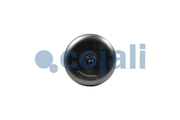 Cojali Veeraccumulator remcilinder 2251604