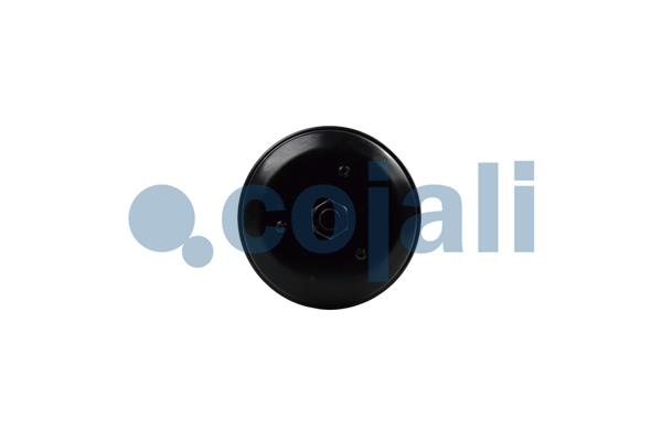 Cojali Veeraccumulator remcilinder 2251607