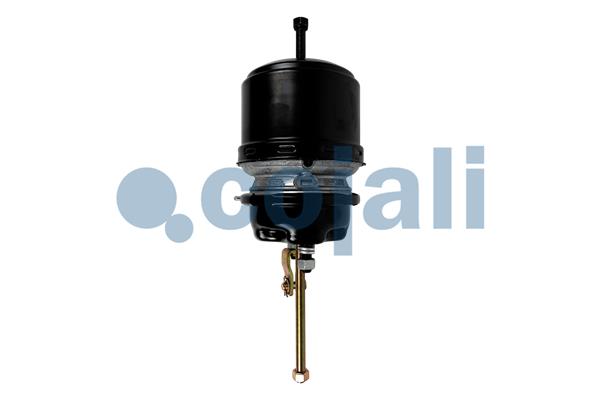 Cojali Veeraccumulator remcilinder 2251608