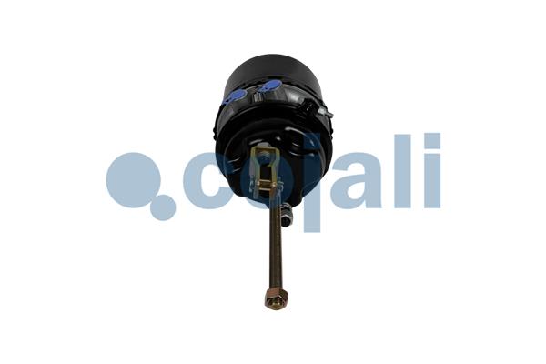 Cojali Veeraccumulator remcilinder 2251608