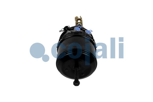 Cojali Veeraccumulator remcilinder 2251608