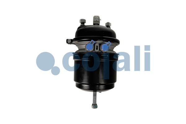 Cojali Veeraccumulator remcilinder 2251611