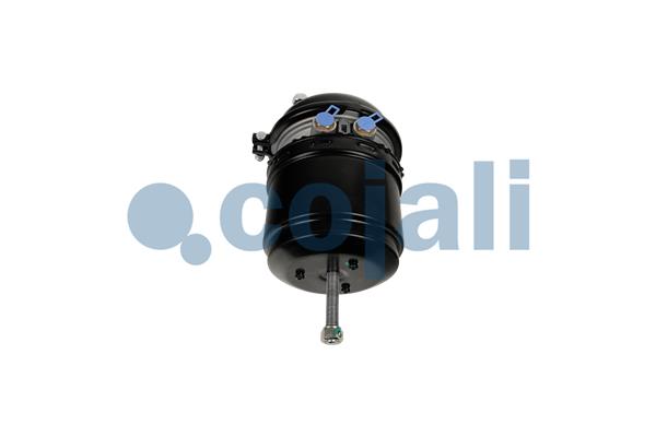 Cojali Veeraccumulator remcilinder 2251611