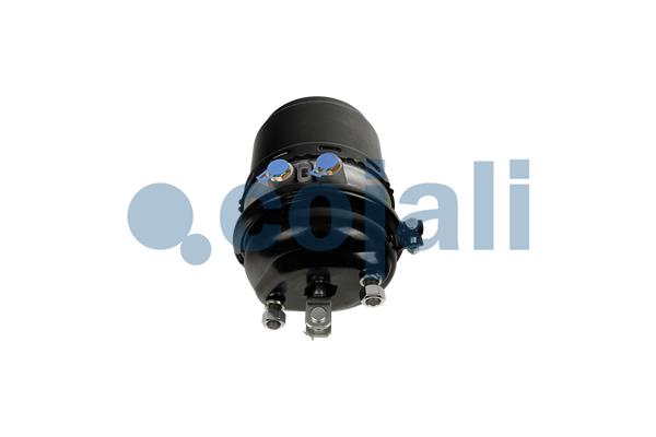 Cojali Veeraccumulator remcilinder 2251611