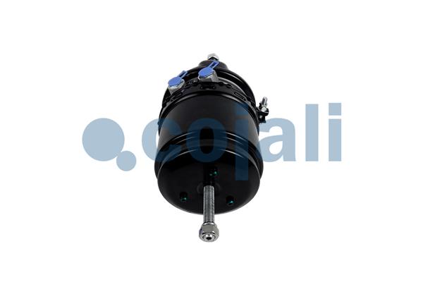 Cojali Veeraccumulator remcilinder 2251702