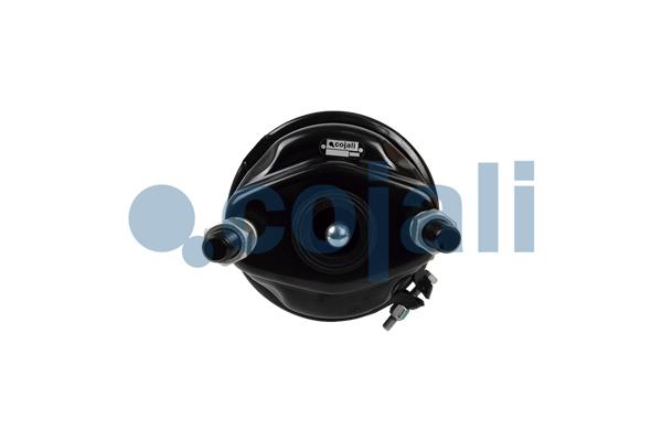 Cojali Veeraccumulator remcilinder 2251703